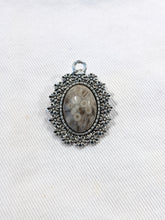 Load image into Gallery viewer, Cowry Fossil Pendant Necklace