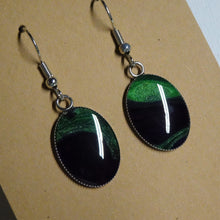 Load image into Gallery viewer, Acrylic Oval Earrings
